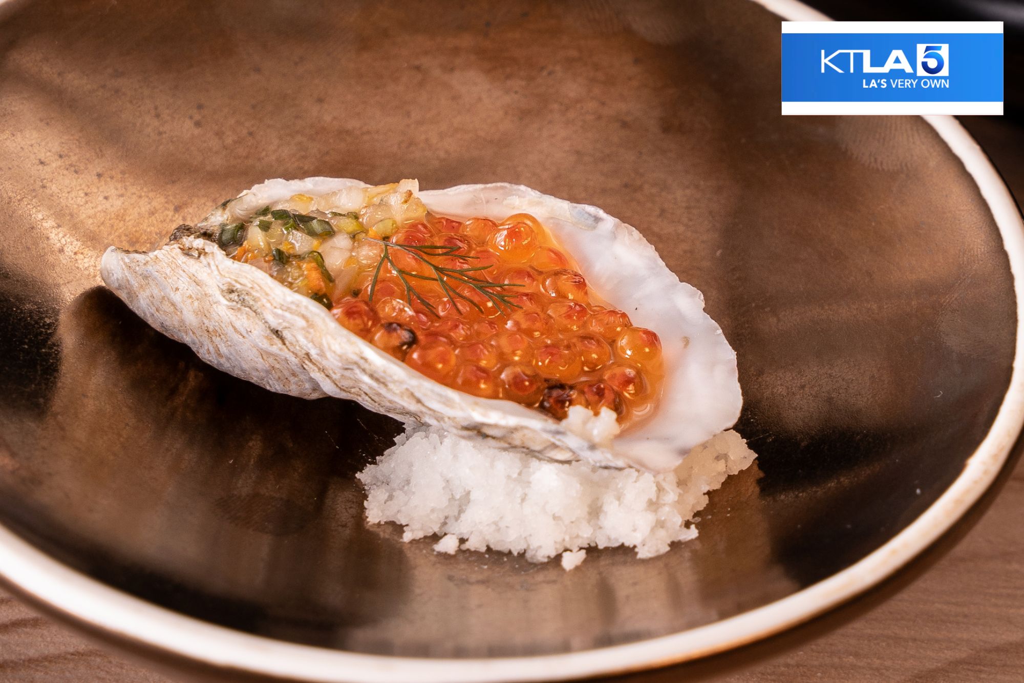 Chubby Group | Watch the Niku X dining experience